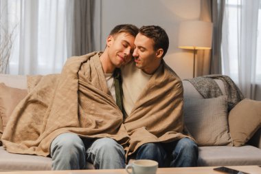 Gey bir çift, iki gülümseyen adam battaniyeyi evde rahat bir kanepede paylaşıyorlar. Aşk, ilişki konsepti
