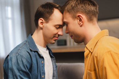 Mutlu, pozitif eşcinsel çift evde sevgi ve şefkat gösteriyorlar alınlarına dokunuyorlar evdeki oturma odasında rahat bir kanepede oturuyorlar. Aşk, ilişki kavramı