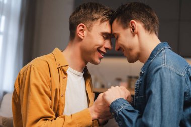 Mutlu eşcinsel çift evde el ele tutuşup gülümsüyor, alınlarına dokunuyor, evdeki oturma odasında. İlişki, aşk kavramı