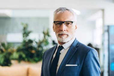 Modern bir ofiste kendine güvenen üst düzey yönetici, dinamik bir şirket ortamında deneyim ve liderlik vasıfları yayıyor. Profesyonelliği ve başarıyı vurgulamak. İş konsepti