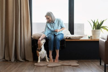 Gülümseyen son sınıf öğrencisi kadın pencere kenarında oturuyor, evde av köpeğiyle oynuyor, birlikte vakit geçiriyorlar.