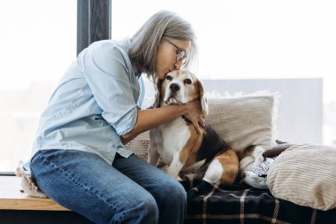 Emekli kadın pencere kenarında oturuyor, av köpeğini kucaklıyor ve öpüyor, evinde huzurlu bir sevgi ve arkadaşlık anının tadını çıkarıyor. Aşk hayvanı konsepti