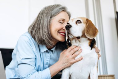 Mutlu kıdemli kadın evinde sevgili av köpeğini kucaklıyor, sevgi ve bağlılık dolu bir anın tadını çıkarıyor, insanlar ve hayvanlar arasındaki özel bağı kutluyor.