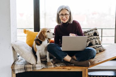 Bilgisayarında uzaktan çalışan mutlu, olgun serbest çalışan, modern dairesinin penceresinde rahatça otururken av köpeğiyle eğlenen biri. Çevrimiçi teknoloji kavramı