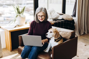 Dizüstü bilgisayarda çalışan olgun bir kadın rahat bir koltukta oturmuş evde av köpeğiyle eğleniyor uzaktan kumandayla evcil hayvan arkadaşlığı ve konforunu harmanlıyor. Çevrimiçi teknoloji, hayvan konsepti.