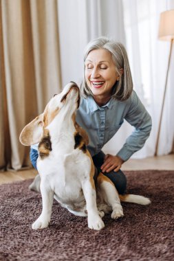 Gülümseyen son sınıf öğrencisi kadın, sevimli köpeğiyle oturma odasındaki tüylü halıda oynuyordu. Sevgi dolu bir arkadaşlık ve eğlencenin tadını çıkarıyordu. Aşk hayvanı konsepti