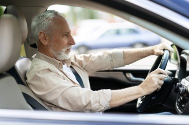 Odaklanmış son sınıf öğrencisi, modern bir araba kullanıyor, emniyet kemerini takıyor ve kameradan kafasını çeviriyor.