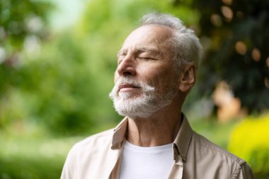 Rahat kıdemli adam yeşil bir parkta temiz havanın tadını çıkarıyor, doğayı hissediyor ve sağlığıyla ve sağlığıyla ilgileniyor.