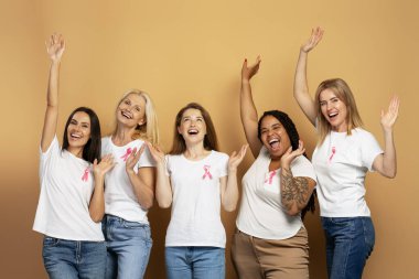 Beyaz tişörtlere pembe kurdele takan beş neşeli, çeşitli kadın, göğüs kanseri farkındalığı ve topluma destek için sevinçle ellerini kaldırıyor. Destek konsepti