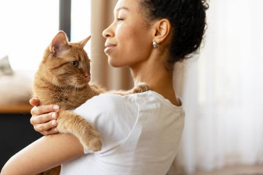 Genç bir kadın evde kızıl kedisine sarılıyor, şefkat gösteriyor ve evcil hayvan arkadaşlığı sahnesi yaratıyor.