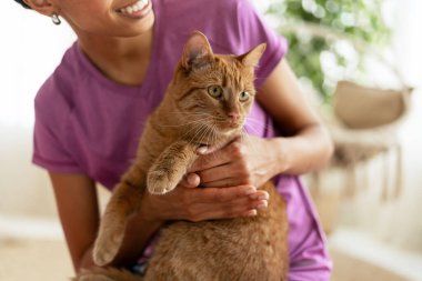 Veteriner kliniği ziyareti sırasında kızıl bir kediyi kucağına alan gülümseyen veteriner, evcil hayvanın sağlığı ve refahını sağlarken sıcaklık ve bakım yayıyor.