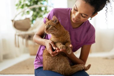 Ev ziyareti sırasında kızıl kedi patilerini inceleyen gülümseyen veteriner, evcil hayvan ve sahibi arasında kişisel bakım ve güçlendirme bağı sağlıyor