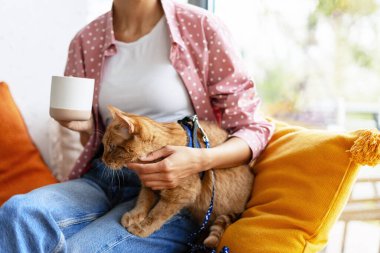 Genç bir kadın kahve içerken kızıl kedisine sarılıyor, evdeki rahat bir kanepede oturuyor.