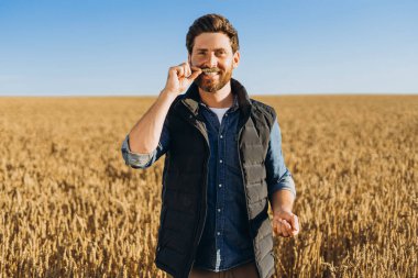 Geniş altın tarlasında buğday çiğneyen mutlu çiftçi yazın sıcak ve güneşli bir gününde parlak mavi gökyüzü altında emeğinin meyvelerinin tadını çıkarıyor. Tarım konsepti