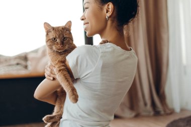 Gülümseyen güzel Afro-Amerikan kadın pencerenin yanında duruyor ve evde kızıl kedisine nazikçe sarılıyor. Evcil hayvanlar ve insanlar yaşam tarzı konsepti