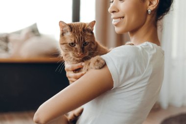 Zencefilli kedisini sevgiyle kucaklayan gülümseyen Afro-Amerikan bir kadının, rahat bir ev ortamında pencerenin yanında dururken çekilmiş fotoğrafı. Evcil hayvanlar ve insanlar yaşam tarzı konsepti