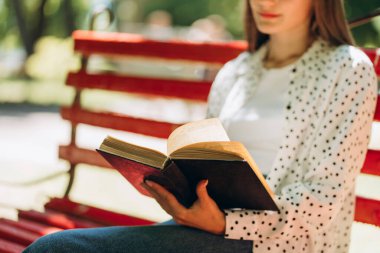 Genç bir kadın Red Park bankında otururken ilginç bir kitap okumaktan hoşlanır. Bir yaz gününün sükunetine daldım. Seçtiği edebiyatın sayfalarında teselli ve bilgi buluyor.