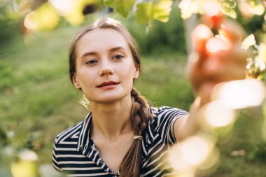 Uzun örgülü saçları olan genç bir çiftçi kadın yemyeşil ve canlı doğayla çevrili güneşli bir yaz gününde, güneşte kavrulmuş kırmızı üzümleri neşeyle hasat ediyor.