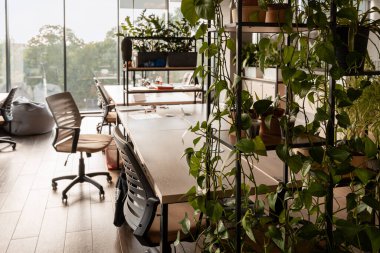 Çağdaş ofis mobilyalarının arasında verimli yeşillik gelişiyor, üretkenliği ve çalışanların refahını arttıran canlı ve ilham verici bir çalışma alanı yaratıyor.