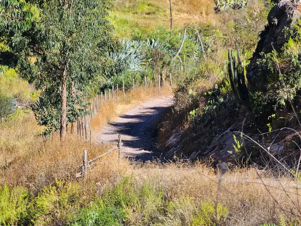 Stock image Trail type path in the high Andean mountains