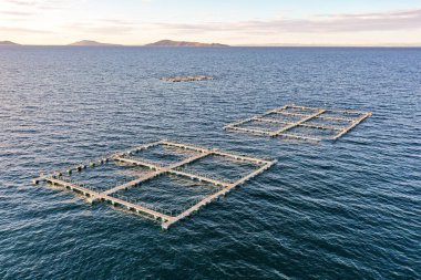 Titikaka Gölü 'nde alabalık beslemek için kafesler