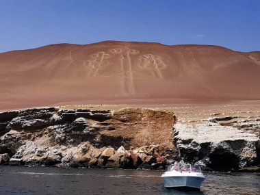 Paracas avizesi plajdan görünüyor..