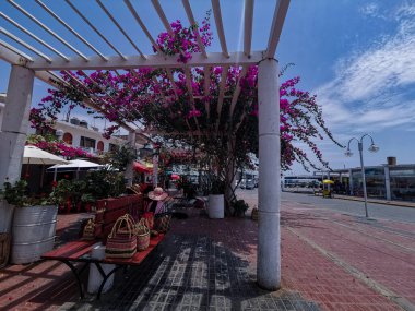 Pergolas ve çiçeklerle park et. .