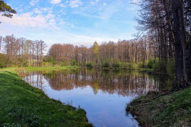 Ormanın ortasında ayna yansıması olan bir göl.