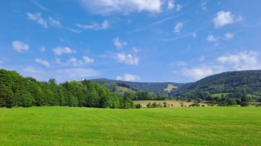 Ormanların yanında ovaları ve otlakları olan bir çayır.