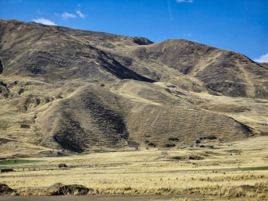 Antik tarım ürünleri için İnka terasları olan Yüksek And çayırları