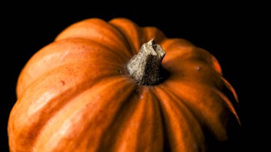 Cadılar Bayramı ve Ölüler Günü için kırmızı ve turuncu ışıklı balkabakları ve diğer dekoratif eşyalar.