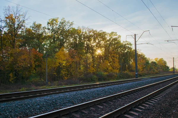 Bahn Herbst — Stockfoto