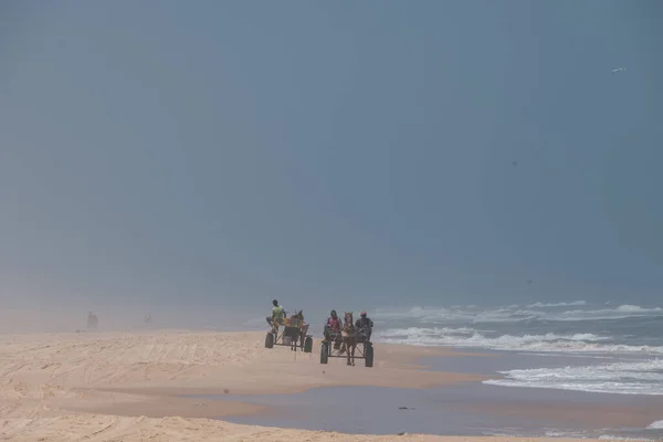 Stock image Horse-drawn carriage along the beach by the sea.