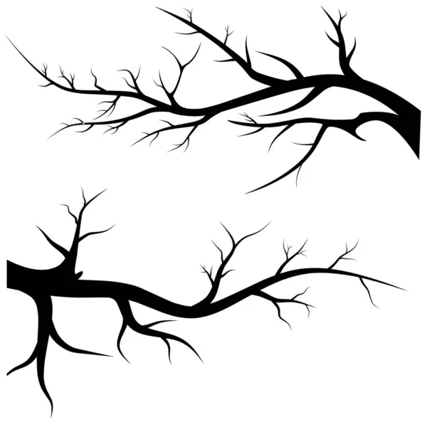 Jesienne Gałęzie Drzew Sylwetka Upadłych Gałęzi Bez Liści Ilustracja Wektora — Wektor stockowy