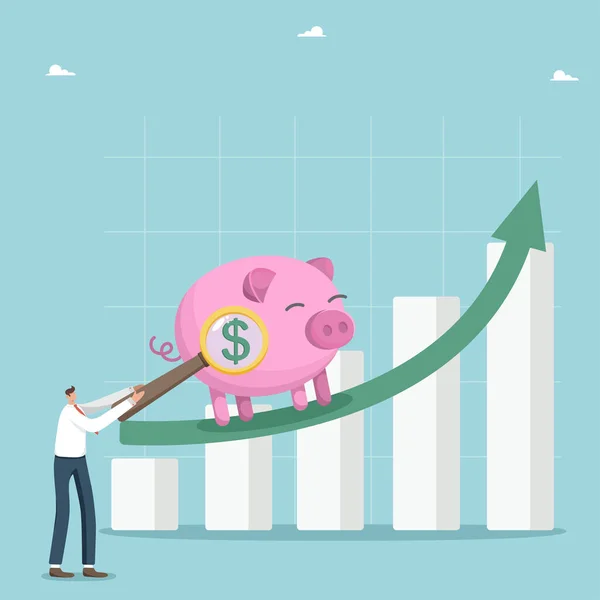 Increase Investment Portfolio Savings Profit Bank Deposits Shares Companies Growth — Stock Vector