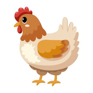 Sevimli komik tavuk, mutlu küçük tavuk. Beyaz arka planda izole edilmiş çiftlik hayvanı. Düz vektör illüstrasyonu.