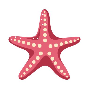 Beyaz arka planda denizyıldızı. Okyanus egzotik su kabuğu, sarmal salyangoz, su altı yumuşakçaları. Deniz yaratıkları. Çıkartma için modaya uygun düz vektör çizimi.