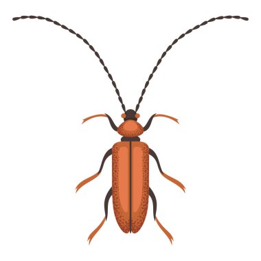 Böcek bıyıklı meşe, kahverengi böcek. Renkli böcek. Doğa ve biyolojik çeşitlilik böcek spesifikasyonu. Böcek vektörü düz resimleme.