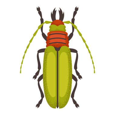 Yeşil ve turuncu böcek, böcek. Renkli böcek. Doğa ve biyolojik çeşitlilik böcek spesifikasyonu. Böcek vektörü düz resimleme.