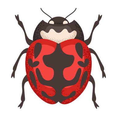 Uğur böceği, kırmızı böcek. Renkli böcek. Doğa ve biyolojik çeşitlilik böcek spesifikasyonu. Böcek vektörü düz resimleme.