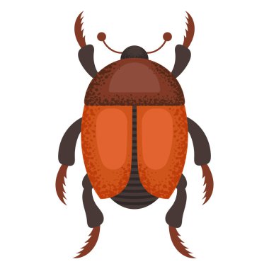 Kahverengi böcek, böcek. Renkli böcek. Doğa ve biyolojik çeşitlilik böcek spesifikasyonu. Böcek vektörü düz resimleme.