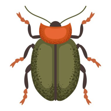 Yaprak böceği, yeşil böcek. Renkli böcek. Doğa ve biyolojik çeşitlilik böcek spesifikasyonu. Böcek vektörü düz resimleme.