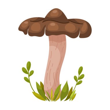 Entoloma clypeatum mantarı. Yenilebilir orman mantarı. Orman çimenleri ve yaprakları. Beyaz arkaplanda çizgi film vektör çizimi.