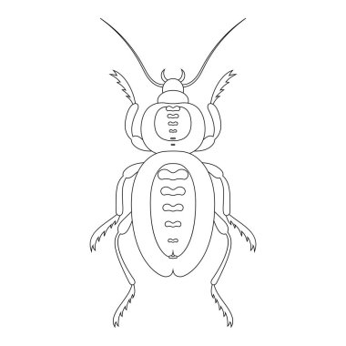 Karınca böceğinin boyama kitabı