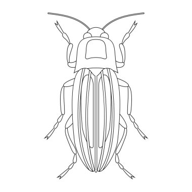 Böcek hamamböceğinin boyama kitabı