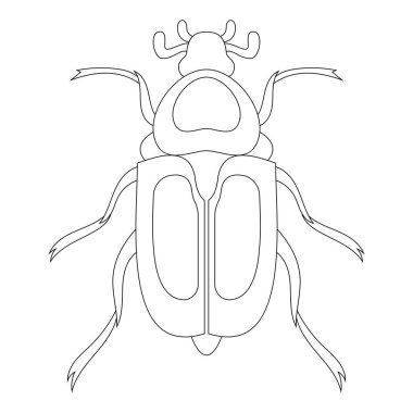 Bronz Böceğin Boyama Kitabı