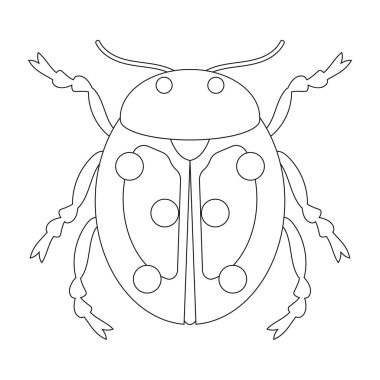 Tatlı uğur böceğinin boyama kitabı