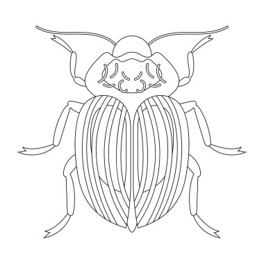 Colorado patates böceğinin boyama kitabı.