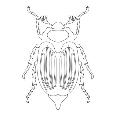 Saman böceğinin boyama kitabı