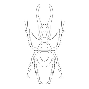 Arı böceğinin boyama kitabı